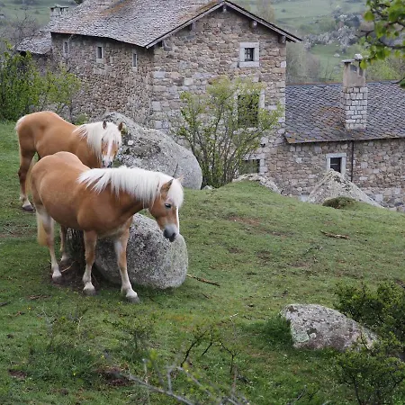 Ferme De Béna * Enveitg