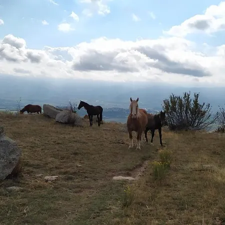 Ferme Llull Enveitg