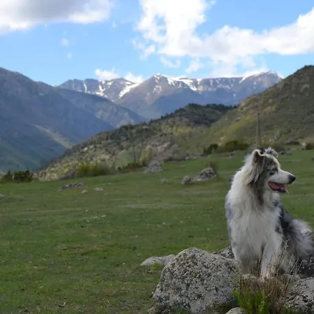 Ferme Llull Lägenhet Enveitg