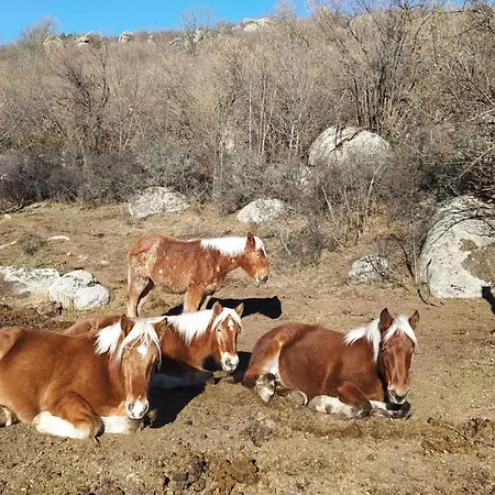 Appartamento Ferme Llull Enveitg