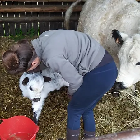 Ferme Llull Appartamento *