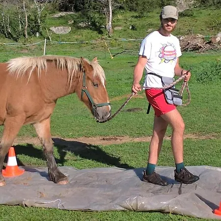Lägenhet Ferme Llull *