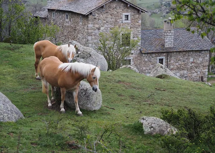 Ferme Llull * Enveitg