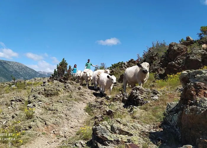 Ferme Llull 아파트 *