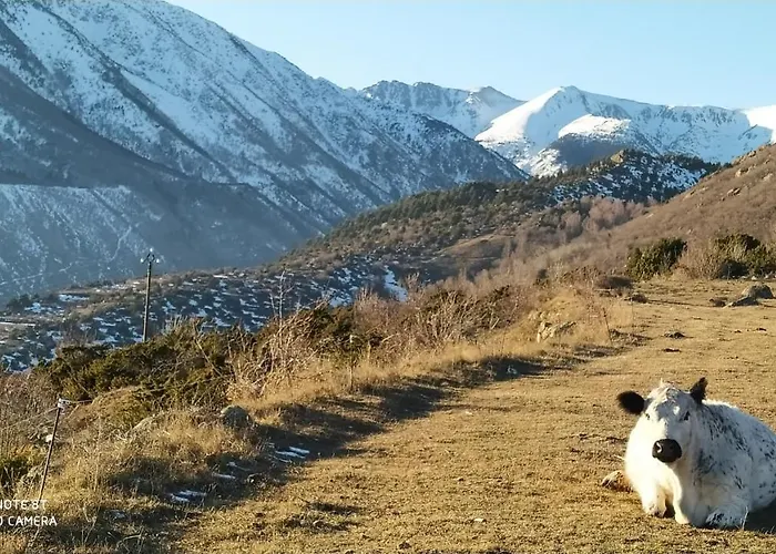 아파트 Ferme Llull *
