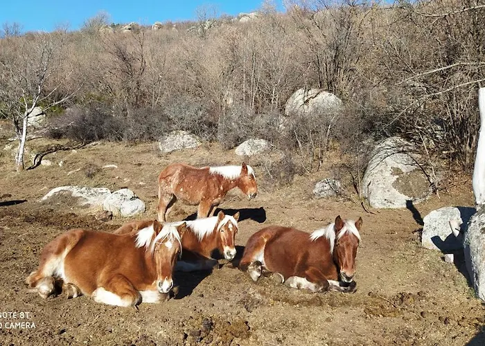 아파트 Ferme Llull Enveitg
