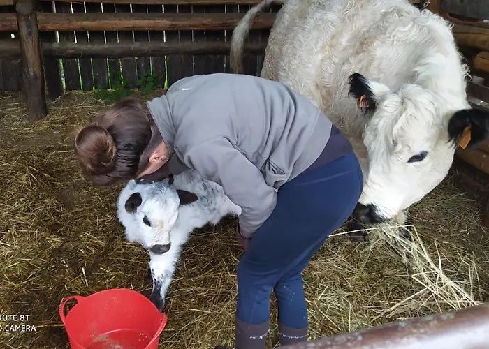 Ferme Llull 아파트 *
