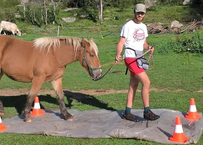 아파트 Ferme Llull *