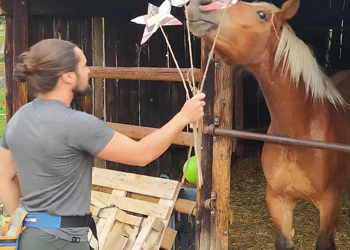 Ferme Llull * Enveitg